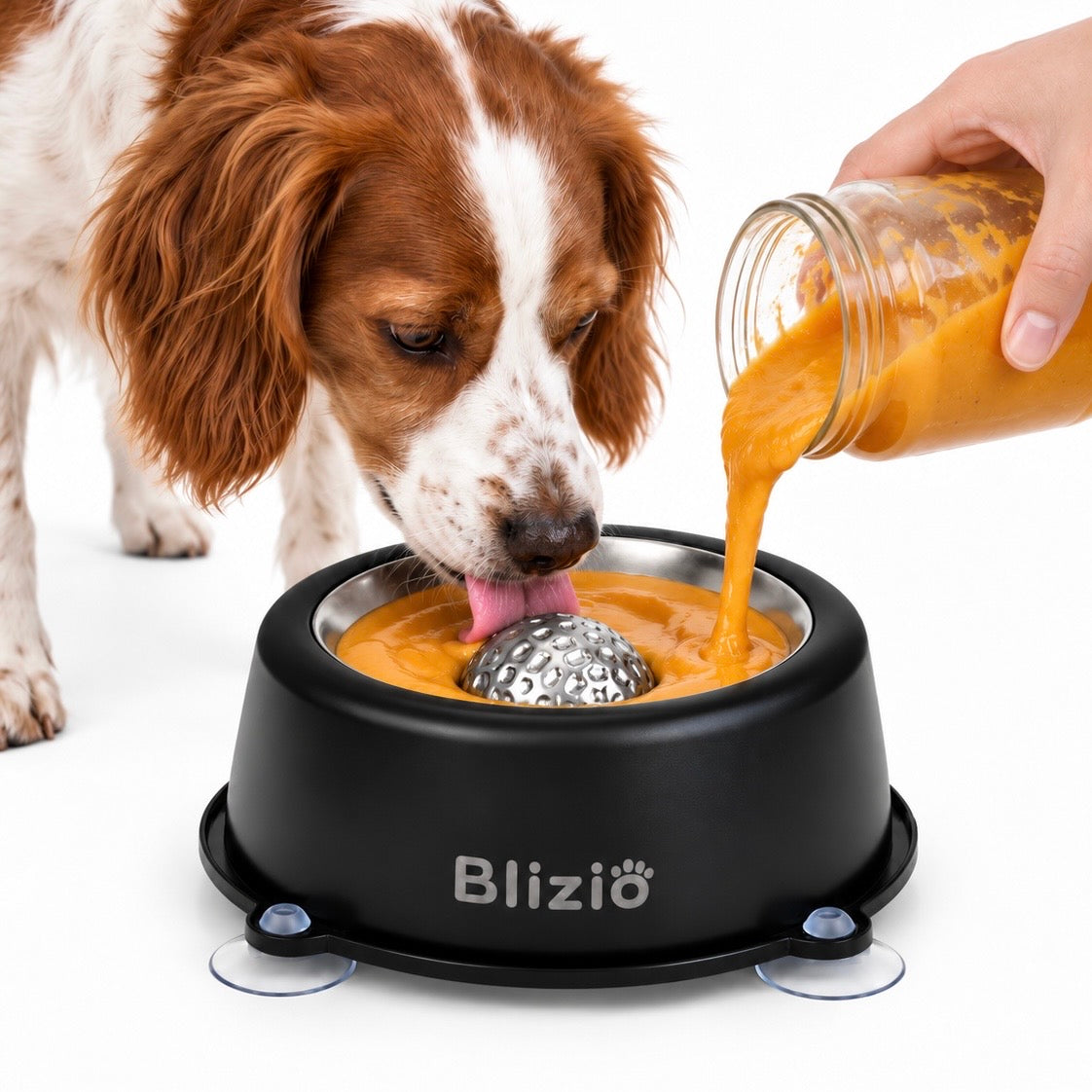 Rolli Slow Feeder Bowl